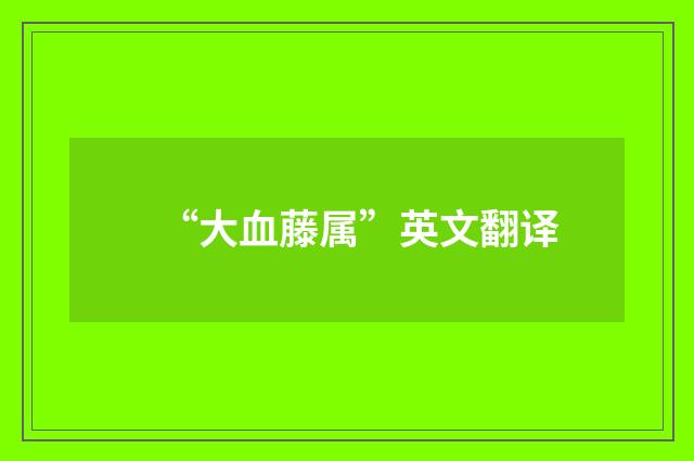 “大血藤属”英文翻译