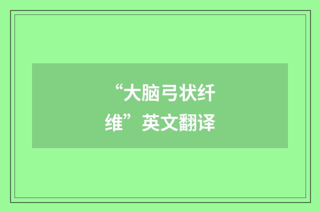“大脑弓状纤维”英文翻译