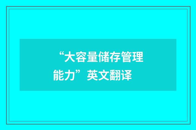 “大容量储存管理能力”英文翻译