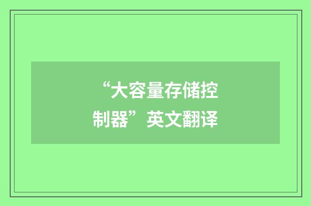 “大容量存储控制器”英文翻译