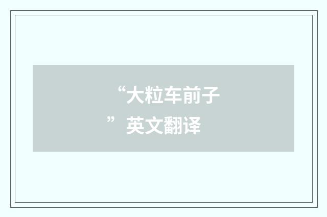 “大粒车前子”英文翻译