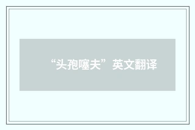 “头孢噻夫”英文翻译