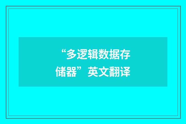 “多逻辑数据存储器”英文翻译