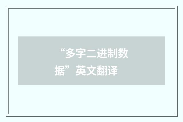 “多字二进制数据”英文翻译