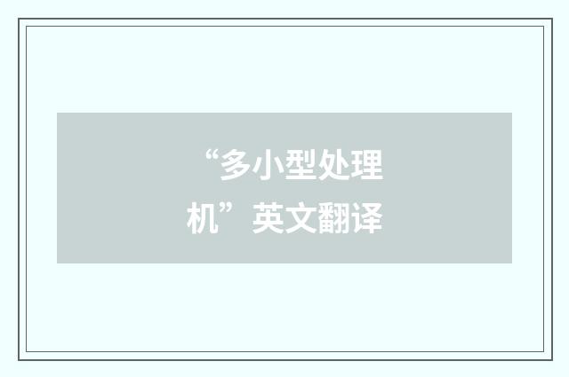 “多小型处理机”英文翻译