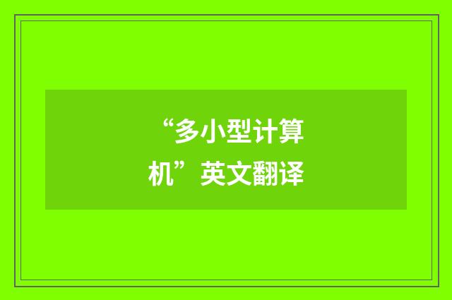 “多小型计算机”英文翻译