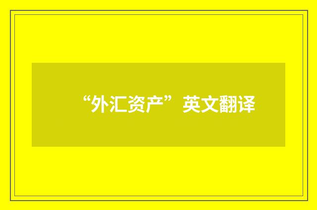“外汇资产”英文翻译