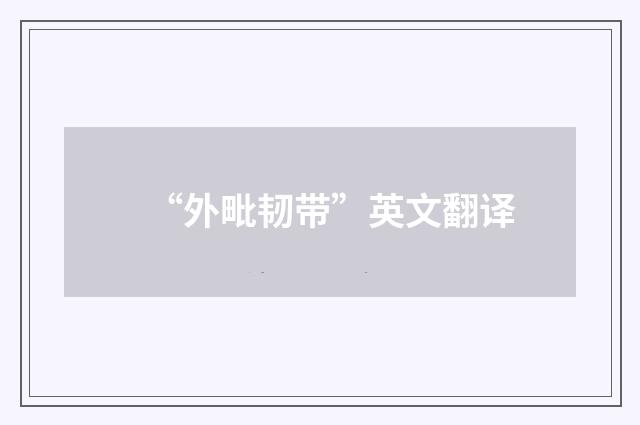 “外毗韧带”英文翻译