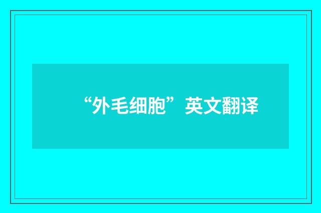 “外毛细胞”英文翻译