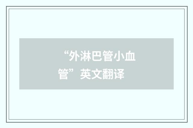 “外淋巴管小血管”英文翻译