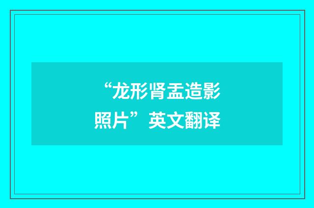 “龙形肾盂造影照片”英文翻译
