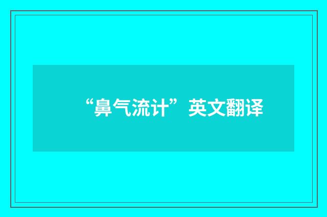 “鼻气流计”英文翻译