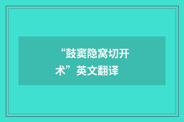 “鼓窦隐窝切开术”英文翻译