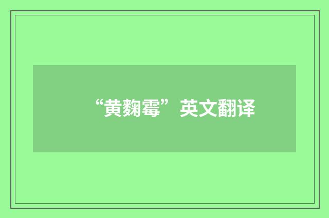 “黄麴霉”英文翻译