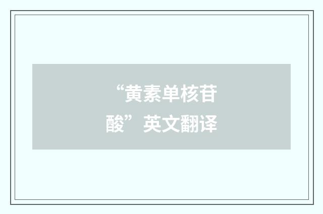 “黄素单核苷酸”英文翻译