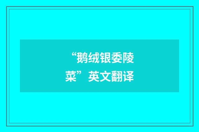“鹅绒银委陵菜”英文翻译