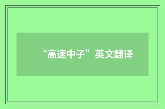 “高速中子”英文翻译