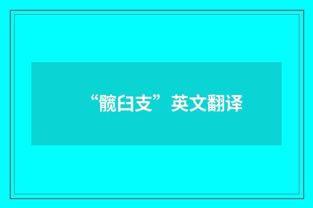 “髋臼支”英文翻译