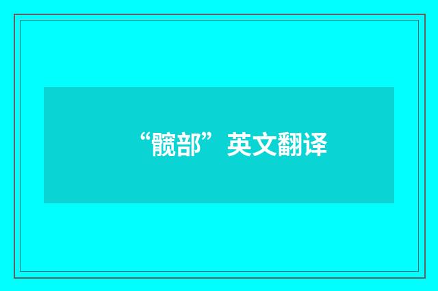 “髋部”英文翻译