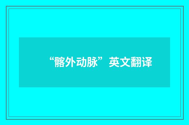 “髂外动脉”英文翻译