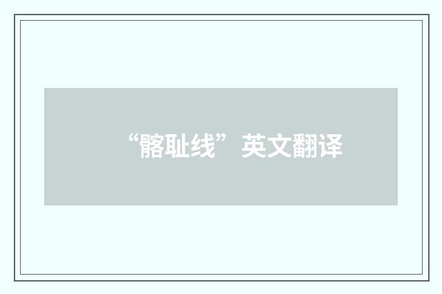 “髂耻线”英文翻译