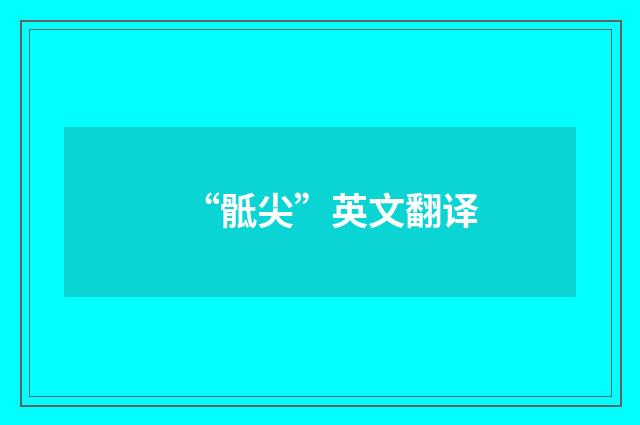 “骶尖”英文翻译