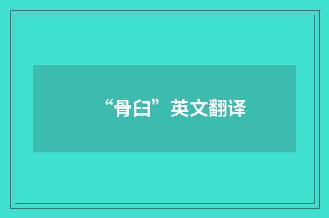“骨臼”英文翻译