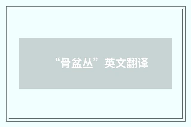 “骨盆丛”英文翻译
