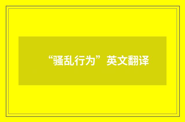 “骚乱行为”英文翻译