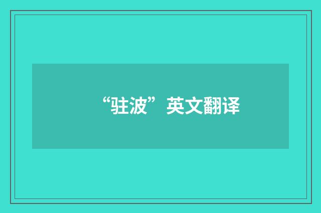 “驻波”英文翻译