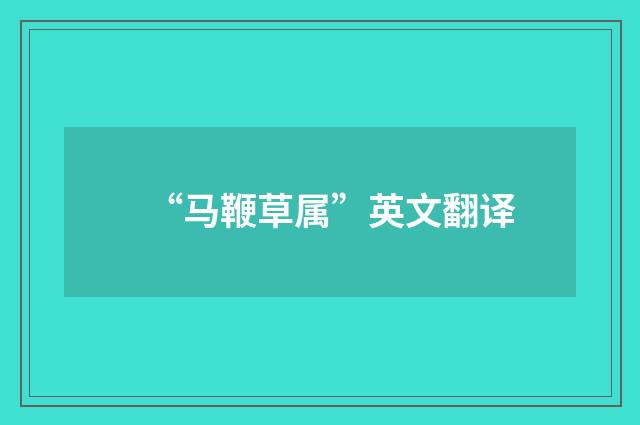 “马鞭草属”英文翻译