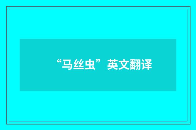 “马丝虫”英文翻译