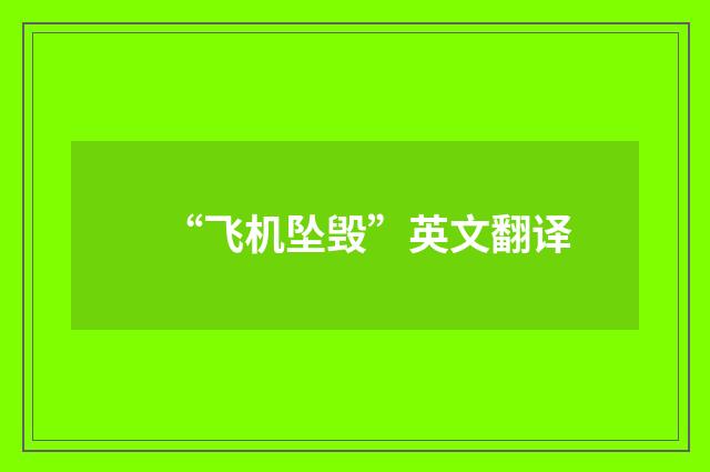 “飞机坠毁”英文翻译