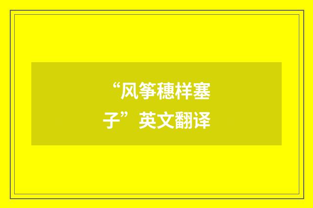 “风筝穗样塞子”英文翻译