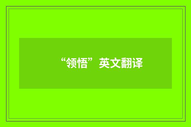 “领悟”英文翻译