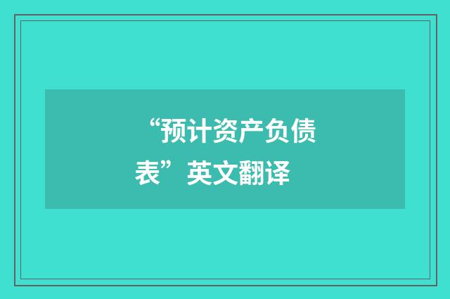 “预计资产负债表”英文翻译