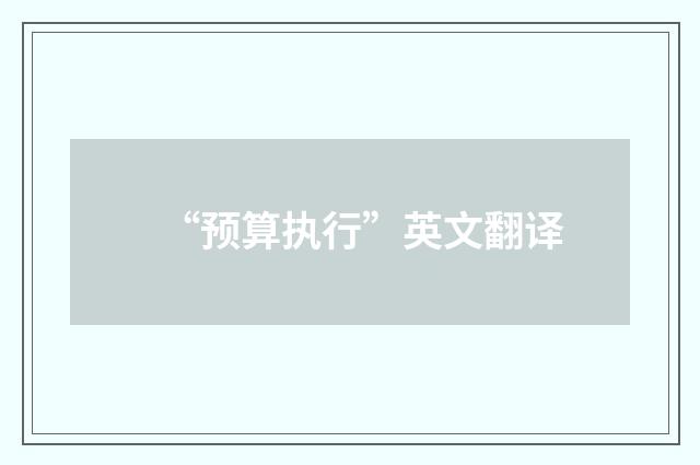 “预算执行”英文翻译