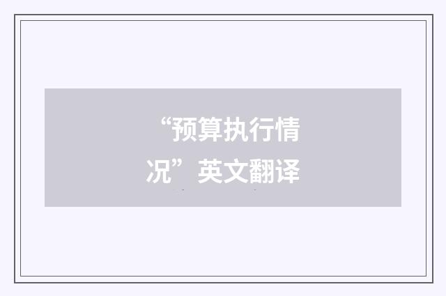 “预算执行情况”英文翻译
