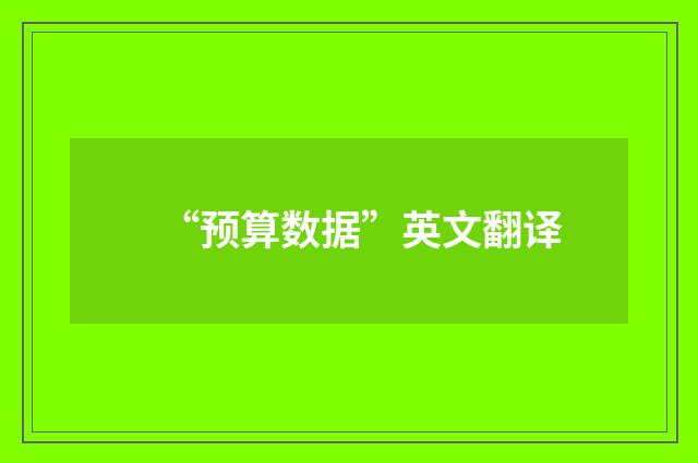 “预算数据”英文翻译