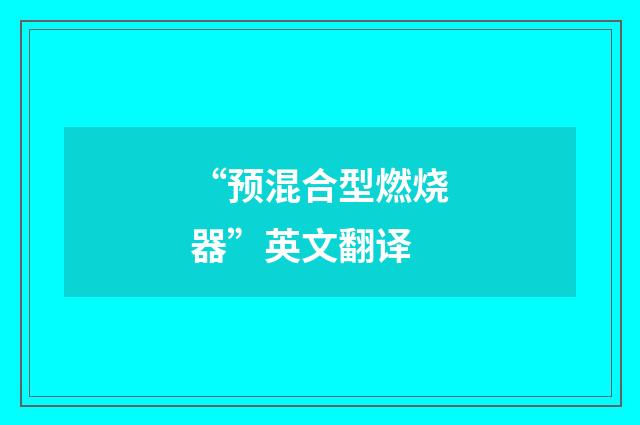 “预混合型燃烧器”英文翻译