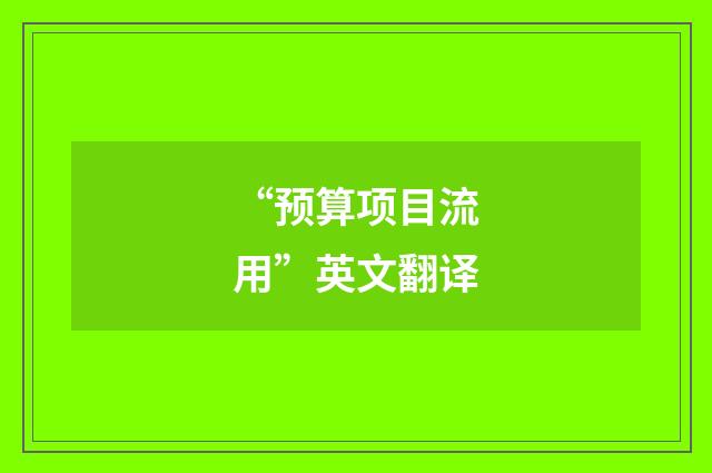“预算项目流用”英文翻译