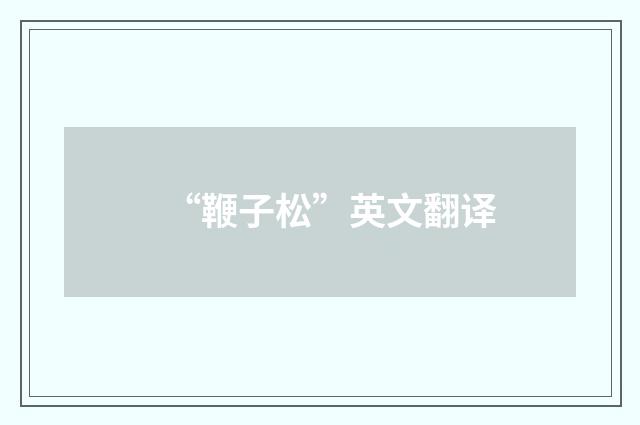 “鞭子松”英文翻译