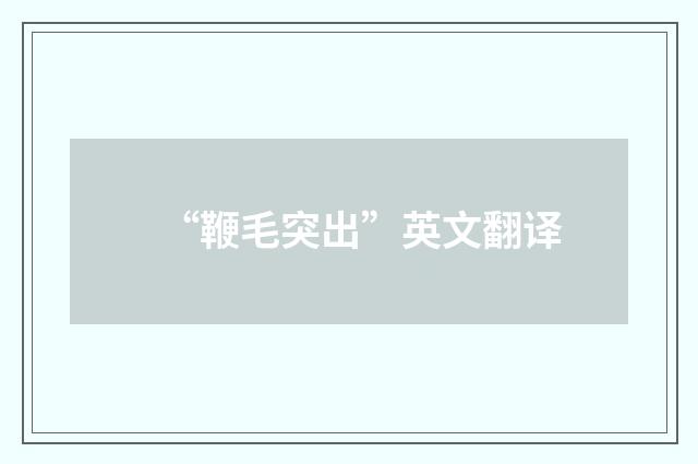 “鞭毛突出”英文翻译