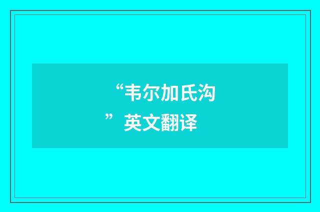 “韦尔加氏沟”英文翻译