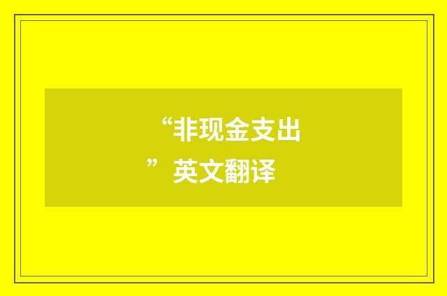 “非现金支出”英文翻译