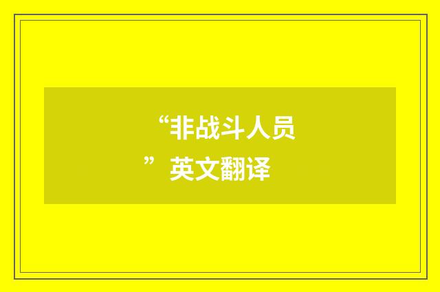 “非战斗人员”英文翻译