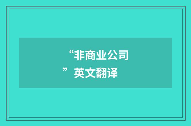 “非商业公司”英文翻译