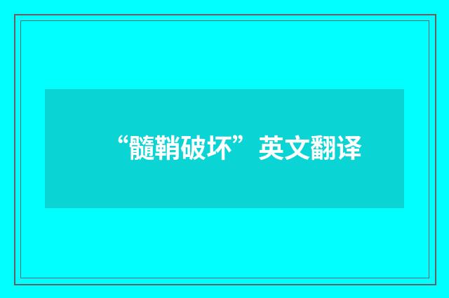 “髓鞘破坏”英文翻译