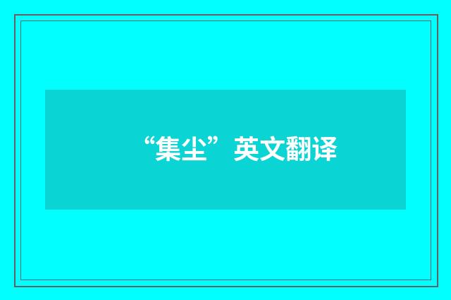 “集尘”英文翻译