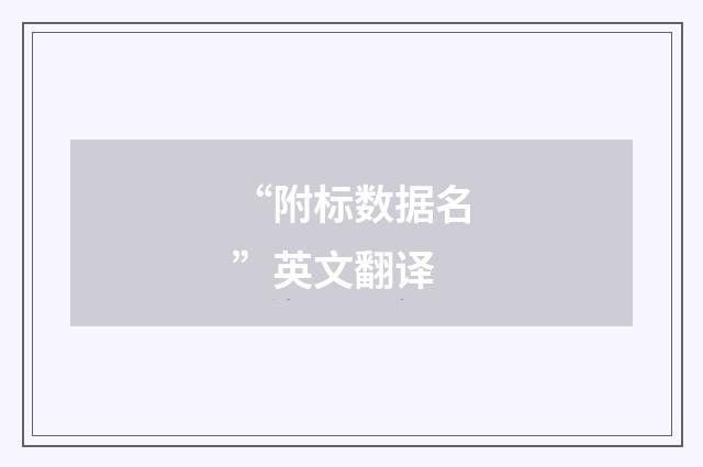 “附标数据名”英文翻译